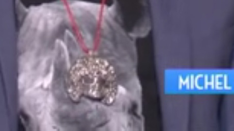 tpmp-pendentif-polnareff-hanouna-2